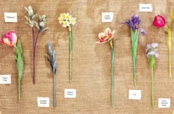 The Bouquet in a Book: Spring: Pre-Punched Pages to Press out and Make Paper Flowers