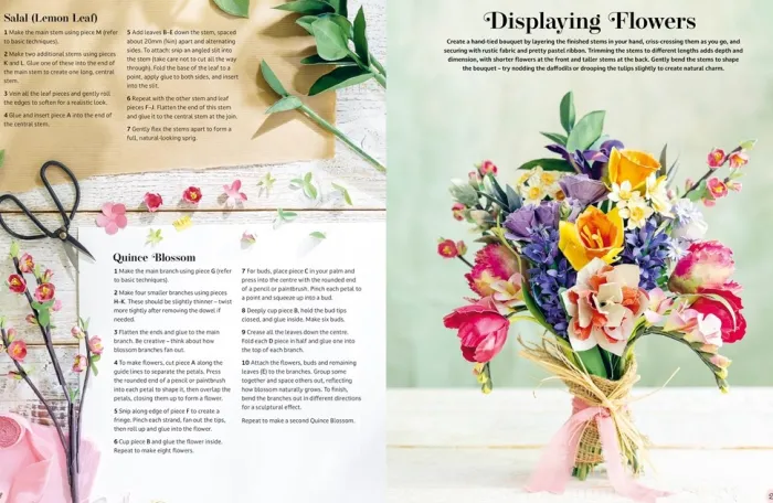 The Bouquet in a Book: Spring: Pre-Punched Pages to Press out and Make Paper Flowers