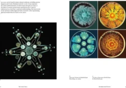 The Cosmic Dance: Finding patterns and pathways in a chaotic universe