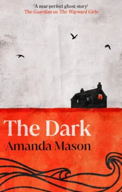 The Dark: A spinetingling seaside folk horror novel, set against the blackouts of the 1970s