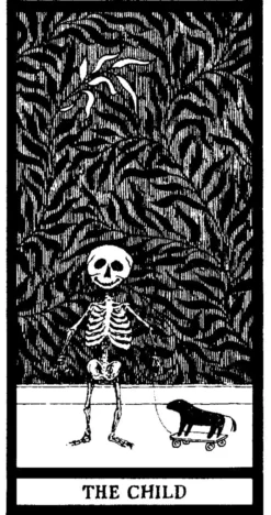 The Fantod Pack by Edward Gorey