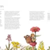 The Flower Fairies Herbal: Recipes and Remedies from the Hedgerow, Field and Forest
