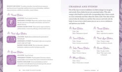 The Good Witch's Guide: A Modern-Day Wiccapedia of Magickal Ingredients and Spells
