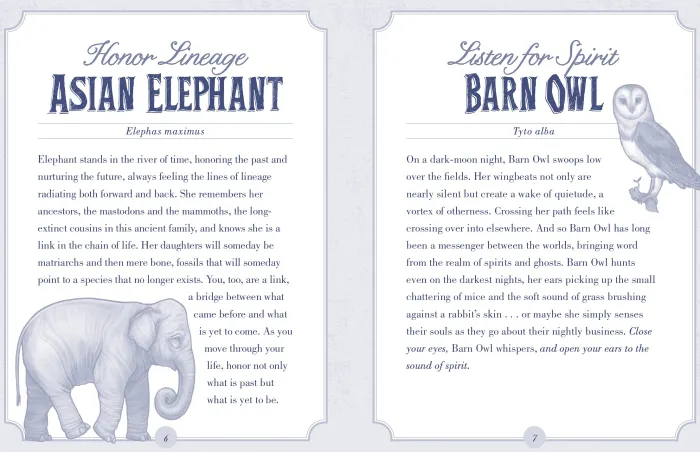 The Illustrated Bestiary Oracle Cards: 36-Card Deck of Inspiring Animals
