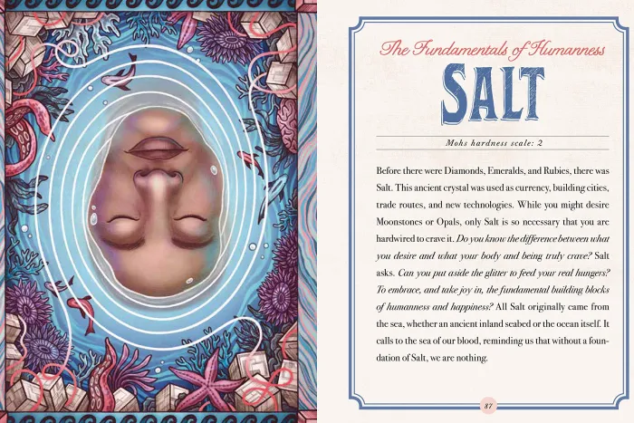 The Illustrated Crystallary: Guidance and Rituals from 36 Magical Gems & Minerals
