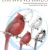 The Laws Guide to Drawing Birds