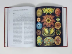 The Madman's Library: The Greatest Curiosities of Literature
