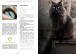 The Magic of Cats: The Cat Lover's Guide to Enchanted Feline Energy
