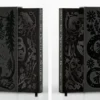 The Queen of Nothing (A Novel of Elfhame): deluxe slipcase edition