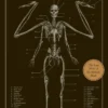 The Resurrectionist: The Lost Work of Dr. Spencer Black