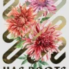 The River Has Roots: The Sweeping, Magical Solo Debut by the Best-Selling Co-Author of THIS IS HOW YOU LOSE THE TIME WAR