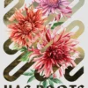 The River Has Roots: The Sweeping, Magical Solo Debut by the Best-Selling Co-Author of THIS IS HOW YOU LOSE THE TIME WAR