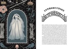 The Secrets of the Séance Society: Illustrated True Stories of Talking to the Dead