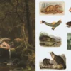 The Sticker Treasury of Woodland Adventures: An eclectic book of stickers for journaling, collaging, scrapbooking and more