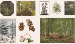 The Sticker Treasury of Woodland Adventures: An eclectic book of stickers for journaling, collaging, scrapbooking and more
