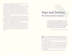 The Story of Witches: Folklore, History and Superstition