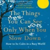 The Things You Can See Only When You Slow Down: How to be Calm in a Busy World