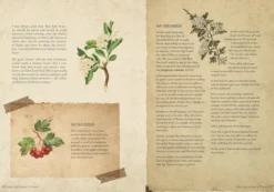 The Time Traveller's Herbal: Stories and Recipes from the Historical Apothecary Cabinet