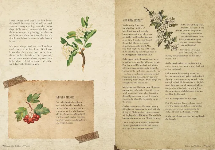 The Time Traveller's Herbal: Stories and Recipes from the Historical Apothecary Cabinet