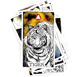 The Wild Unknown Animal Spirit Deck and Guidebook (Official Keepsake Box Set)