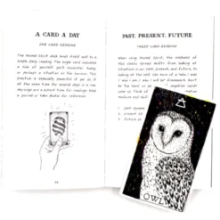 The Wild Unknown Animal Spirit Deck and Guidebook (Official Keepsake Box Set)