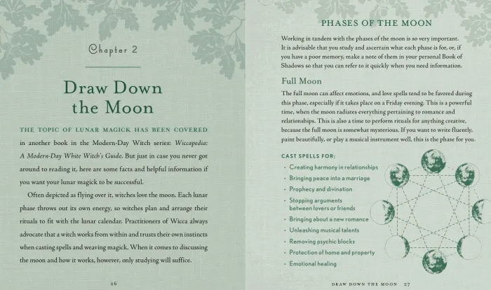 The Witch's Way: A Guide to Modern-Day Spellcraft, Nature Magick, and Divination