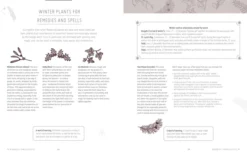 The Witch's Yearbook: Spells, Stones, Tools and Rituals for a Year of Modern Magic