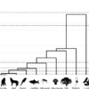 The Zoologist's Guide to the Galaxy: What Animals on Earth Reveal about Aliens - and Ourselves