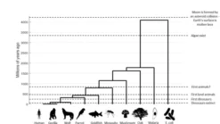 The Zoologist's Guide to the Galaxy: What Animals on Earth Reveal about Aliens - and Ourselves