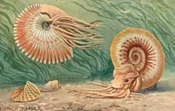 The Zoologist's Guide to the Galaxy: What Animals on Earth Reveal about Aliens - and Ourselves