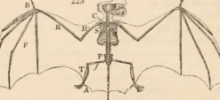 The Zoologist's Guide to the Galaxy: What Animals on Earth Reveal about Aliens - and Ourselves