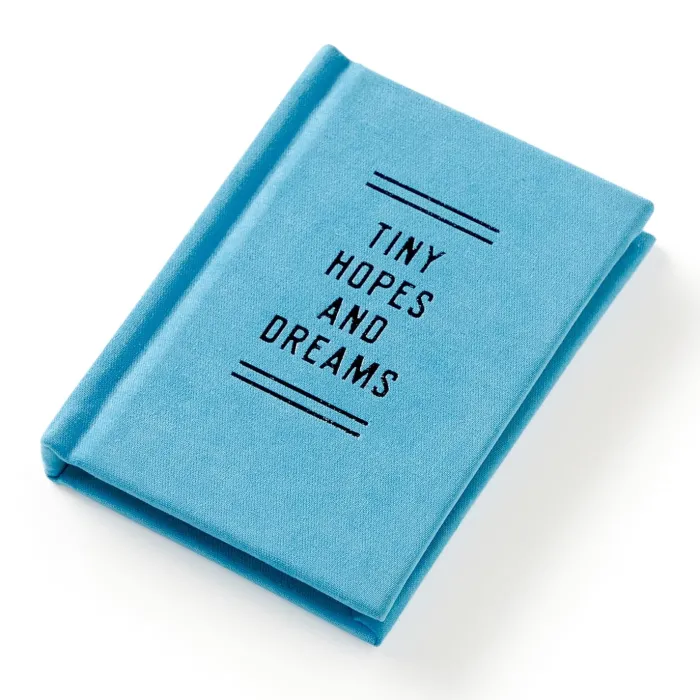 Tiny Hopes And Dreams Tiny Diary