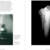 Underworlds: A compelling journey through subterranean realms, real and imagined