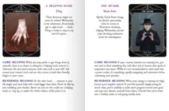 Wednesday: The Official Oracle Deck: Oracle Cards: A 52-Card Deck and Guidebook