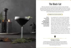 WitchCraft Cocktails: 70 Seasonal Drinks Infused with Magic & Ritual