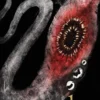 Wyrd and Other Derelictions