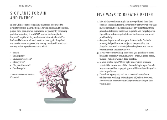 Yang Sheng: The Art of Chinese Self-Healing