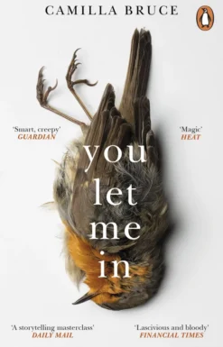 You Let Me In: The acclaimed, unsettling novel of haunted love, revenge and the nature of truth